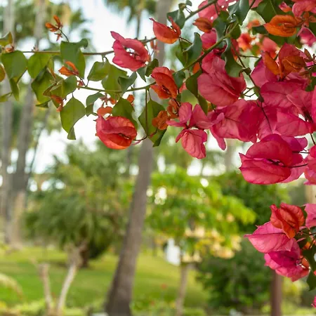 アパート Rabat 2 Oasis ネルハ