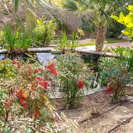 Rabat 2 Oasis アパート ネルハ