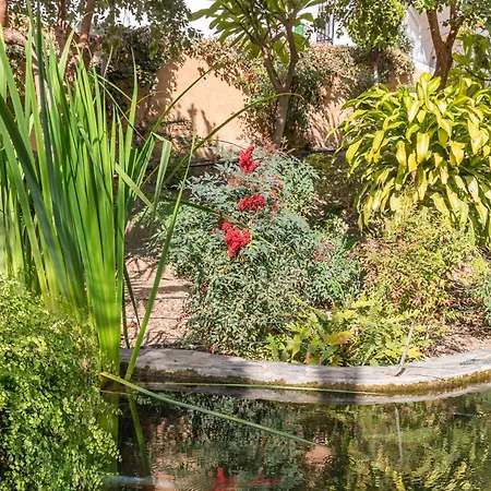 Rabat 2 Oasis 아파트 *