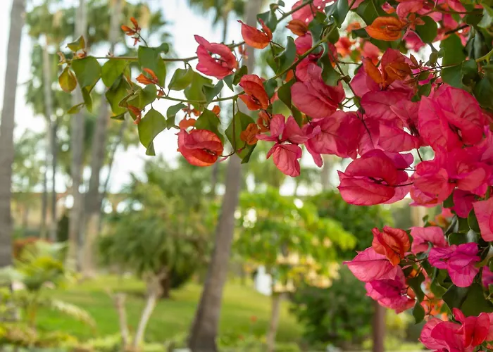 Appartement Rabat 2 Oasis Nerja
