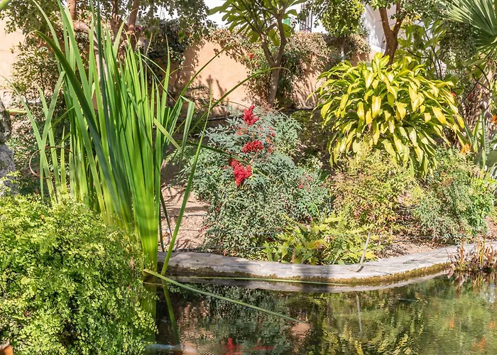 Rabat 2 Oasis Appartement *