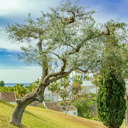 Rabat 2 Oasis Nerja